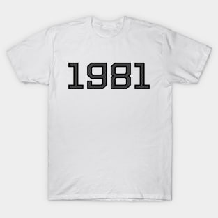 Cool Birthday Shirt 1981 Birth Year Gift T-Shirt